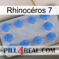 Rhinocéros 7 21